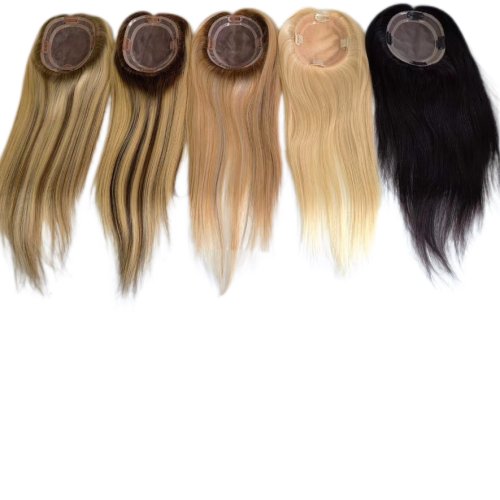 Human Hair Wigs 02