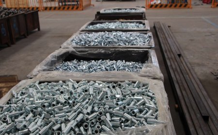 JCD plant -short anchor(3)