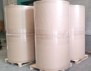 -1_0012_IMG_20230303_135530