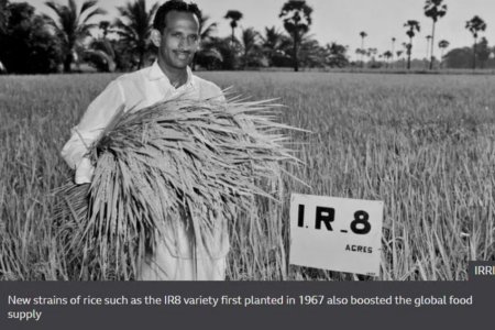 In most countries, palm fiber is often not used and becomes a waste product. However, with our fertilizer production technology and machinery,