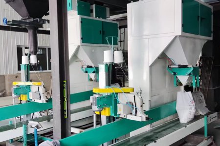 The Packing Machine: Precision Meets Performance