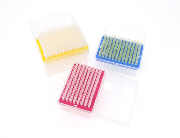 Pipette Filter Tips With Box