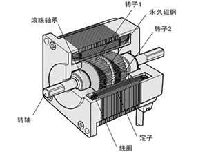 Explain the structure of stepper motor in detail