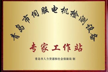 Servo motor detection expert workstation