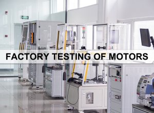 Factory testing of motors