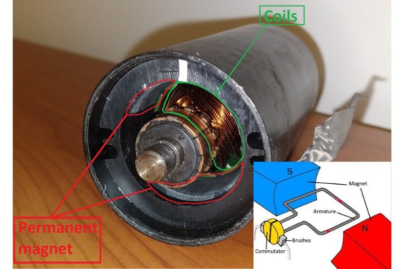 Brushed DC motor structure