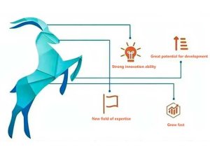 AIP was awarded the honor of the "Gazelle" enterprise in Shandong Province.