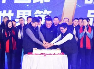 Wonderful Review-AIP's 15th Anniversary Annual Meeting Celebration Successfully Held