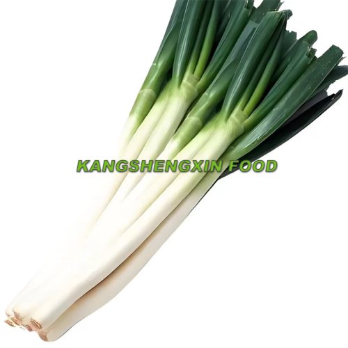 신선한 대파