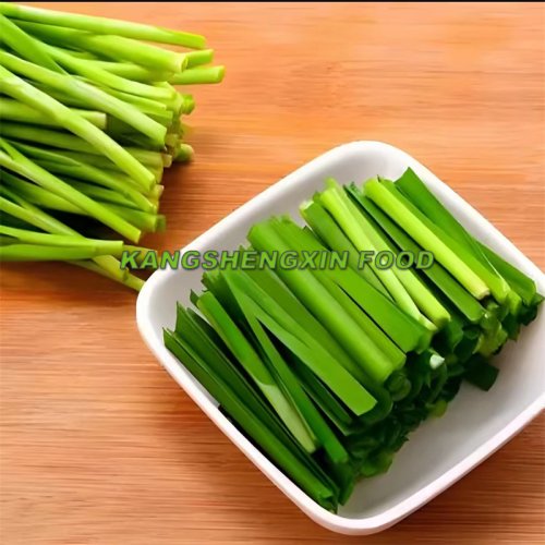 냉동 부추