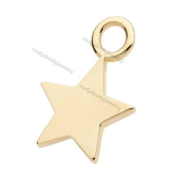 14K Gold Star Charm