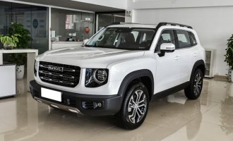 Haval Big Dog 2021 Haval Big Dog 1.5T DCT Border Collie Edition