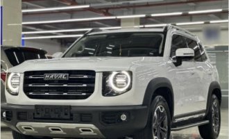 Haval DARGO Big Dog 2022 2.0T DCT four-wheel drive