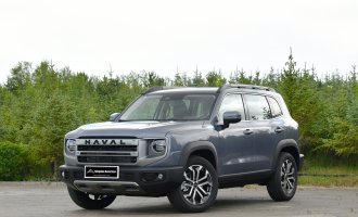 Haval Big Dog 2024 1.5T DCT Border Collie Edition