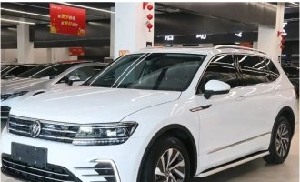  Tiguan L New Energy 2021 430PHEV Plug-In Hybrid Signature Edition