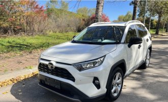 Toyota RAV4 Malibu 2020 Twin Engine 2.5LCVT 2WD Elite