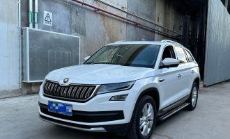 Skoda Kodiaq  2021 TSI330 5-местный 2WD Luxury Premium