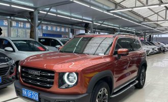 2021 HAVAL DARGO 4WD Chinese Garden Dog