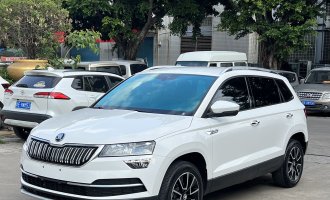 SKODA  KAROQ 2021 TSI280 Technology Edition