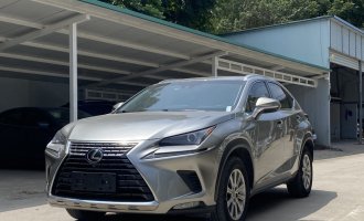 Lexus NX 2020 200 All-Wheel Drive Frontier Edition National