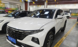 2021 Tucson-L 1.5T GLX Elite Edition National VI 