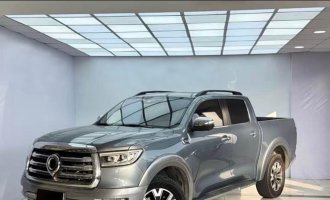 Poer Pickup 2023 2.0T Passenger Version Automatic Gasoline 4WD Premium Edition GW4C20B
