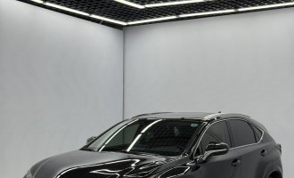 2020 Lexus NX 200 AWD “Fengshang” Edition, China VI Standard