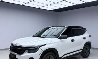 Kia Seltos, белый, 2023 г. выпуска, 1,5 л, CVT, версия «Люкс»