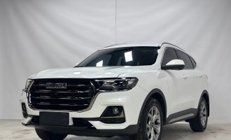 2021 Haval H6, ‘Guochao’ trim, 1.5T, automatic transmission, ‘Champion’ trim