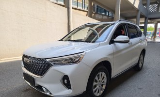 2021 Haval M6 PLUS, ‘Luxury Smart Connect’ version