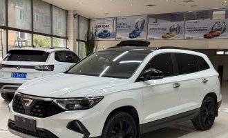 2022 Jetta VS7, ‘Panda’ trim, 1.4T, automatic transmission, ‘Yuexiang’ PRO trim