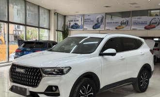 2023 Haval H6, ‘Guochao’ 1.5T version, automatic transmission, ‘Urban’ version
