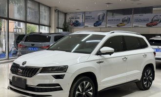 Skoda Karoq,  2022 модельный год, TSI280 Luxury Edition