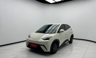 BYD, Seagull, white color, 2025 model, "Activity" version, 305 km range, used version  