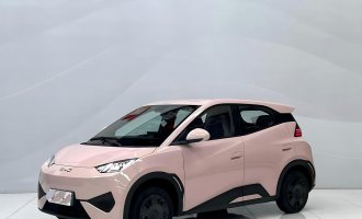 BYD Seagull, pink color, 2025 model, intelligent driving version, 305 km range, power version