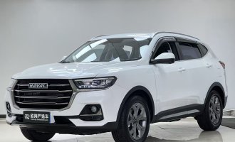 2021 model Haval H6, white, National Trend Edition, 1.5T automatic championship version (heated seats) 