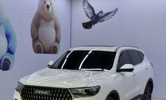 Haval H6 White 2023 model, National Trend Edition, 1.5T automatic city version