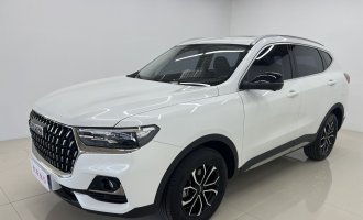 Haval H6 White 2023 model National Trend Edition 1.5T automatic city version
