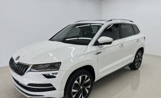 Skoda Karoq White 2022 model TSI280 Zhiyao Edition
