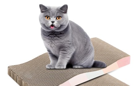 Corrugated Cardboard Square Cat Scratching Board Gains Favor Among Cat Owners