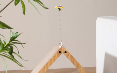 Combining Sustainability and Fun: Corrugated Paper Cat Scratching Houses Become Pet Owners' New Favorite