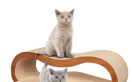 Innovative Pet Product: Corrugated Cardboard 2-in-1 Lounge-Shaped Cat Scratcher Unveiled