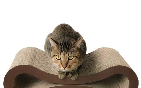Innovative Corrugated Cardboard Cat Scratcher Unveiled: Infinite Shapes Creating a New Playground for Pets