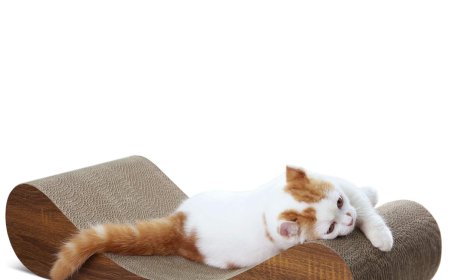 Corrugated Cardboard Lounge Chair: A New Trend in Eco-Friendly Design