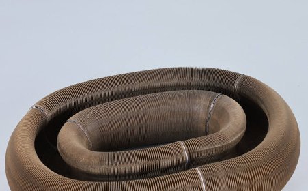 News Report: Magic Accordion-Shaped Cat Scratching Board Debuts in Pet Market