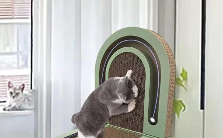 Innovative Pet Products: Foldable Cat Scratching Board Becomes a New Favorite for Cat Owners