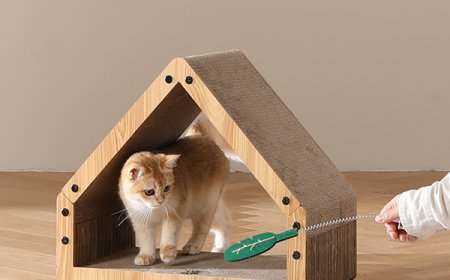 Corrugated Cardboard Cat Houses: A Rising Trend