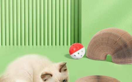 Innovative Cat Scratching Board Delights Pets and Owners Alike