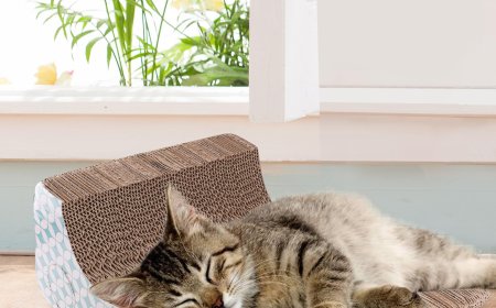Innovative Pet Product: Detachable Slope Cat Scratcher Creates Market Buzz