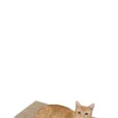 Easy To Clean Square Cat Scratch Board